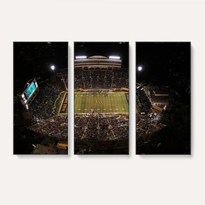 Wake Forest University Demon Deacons Canvas Printi, Football