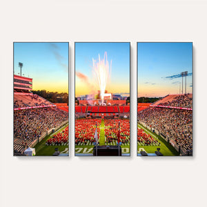 North Carolina State University Canvas Print, North Carolina