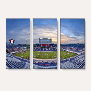 Florida Atlantic University Owls Football Team Print - Boca