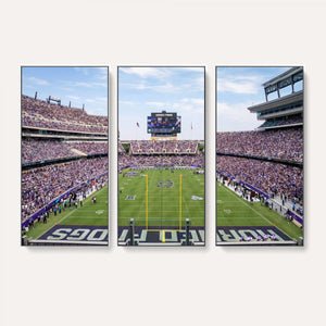 TCU Horned Frogs Football Team Print - Fort Worth Amon G.