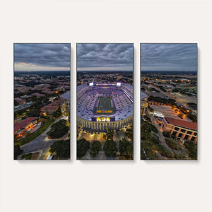 The Louisiana State University Tigers Football Team Print -