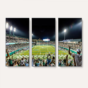 The Tulane University Green Wave Football Team Print - New
