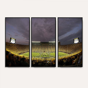 Michigan Wolverines Print - Michigan Stadium Wall Art Canvas