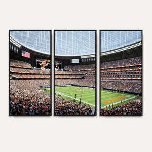 Chicago Bears Soldiers Field Wall Art Canvas Print – Framed