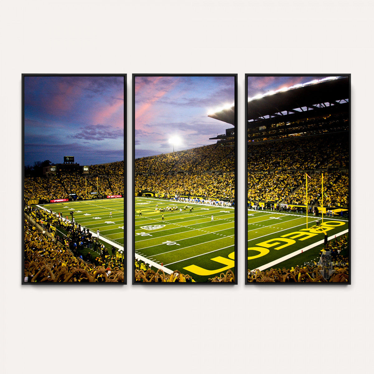 University of Oregon Ducks Football Team Print - Eugene