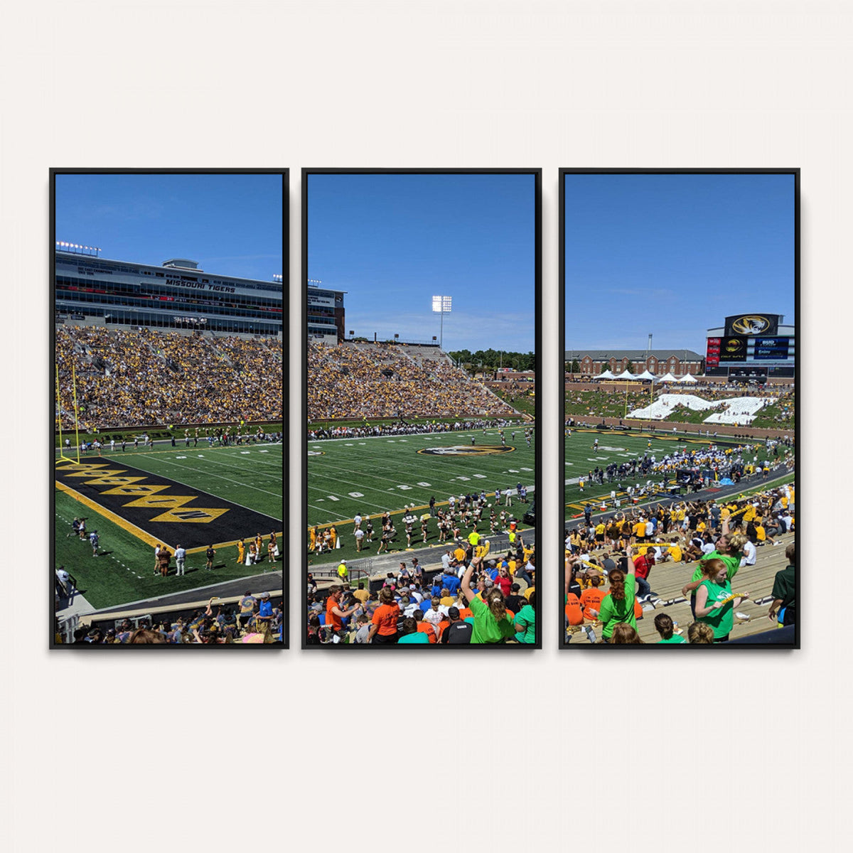 University of Missouri Tigers Football Team Print - Columbia