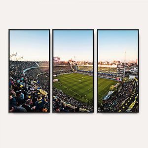 Boca Juniors Soccer Team Print - Buenos Aires Bombonera