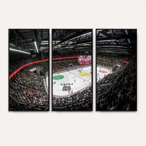 Vaudoise Lausanne Ice Hockey Arena Stadium Wall Art Canvas,
