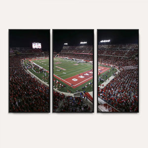 Houston Cougars Football Team Print - Houston TDECU Stadium