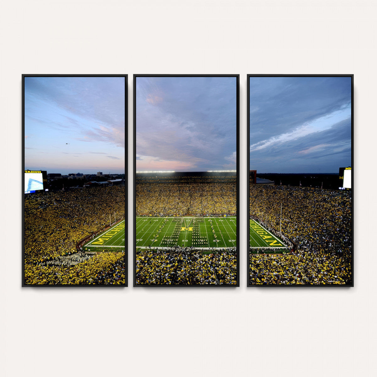University of Michigan Wolverines Football Team Print - Ann