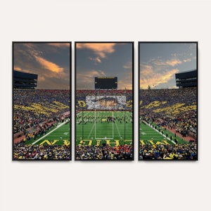 University of Michigan Wolverines Print Canvas, Football