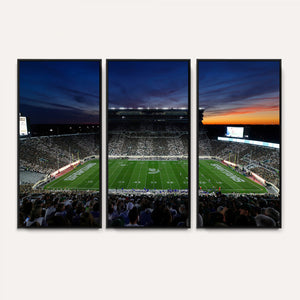 Michigan State Spartans Football Team Print - East Lansing