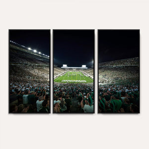 Framed Michigan State Spartans Football Team Print - East
