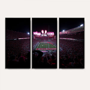 Ohio State University Buckeyes Football Team Print -