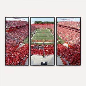Rutgers Scarlet Knights Football Team Print - Piscataway SHI