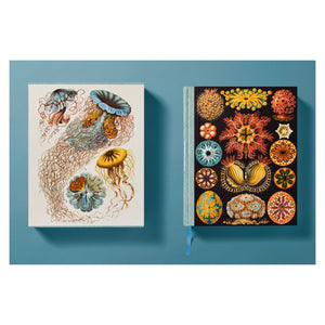 The Art and Science of Ernst Haeckel (German, French, English)