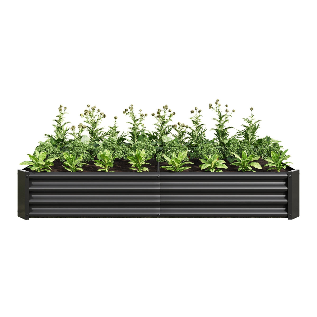 Metal Raised Garden Bed 6x3x1 Ft with Open Base - Silver
