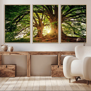 Majestic Ancient Tree Wall Art, NatureCanvas Print, Woodland