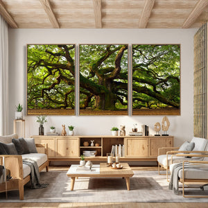 Angel Oak Tree Wall Art Canvas Print | Forest Tree Nature