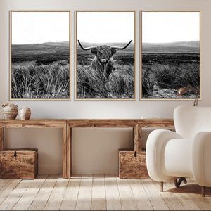 Black and White Highland Cow Canvas Wall Art, Longhorn