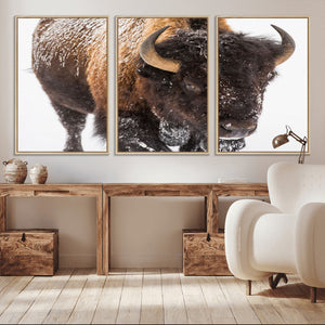 Bison Wall Art Canvas Print For Farmhouse, Wild Animal Wall