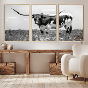 Texas Black White Highland Longhorn Cow Wall Art Canvas
