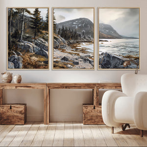 Serene Coastal View of Acadia National Park - Stunning