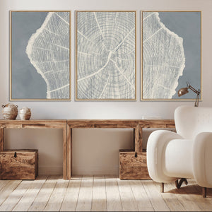 Abstract Tree Ring Wall Art Canvas Print – Nature-Inspired,