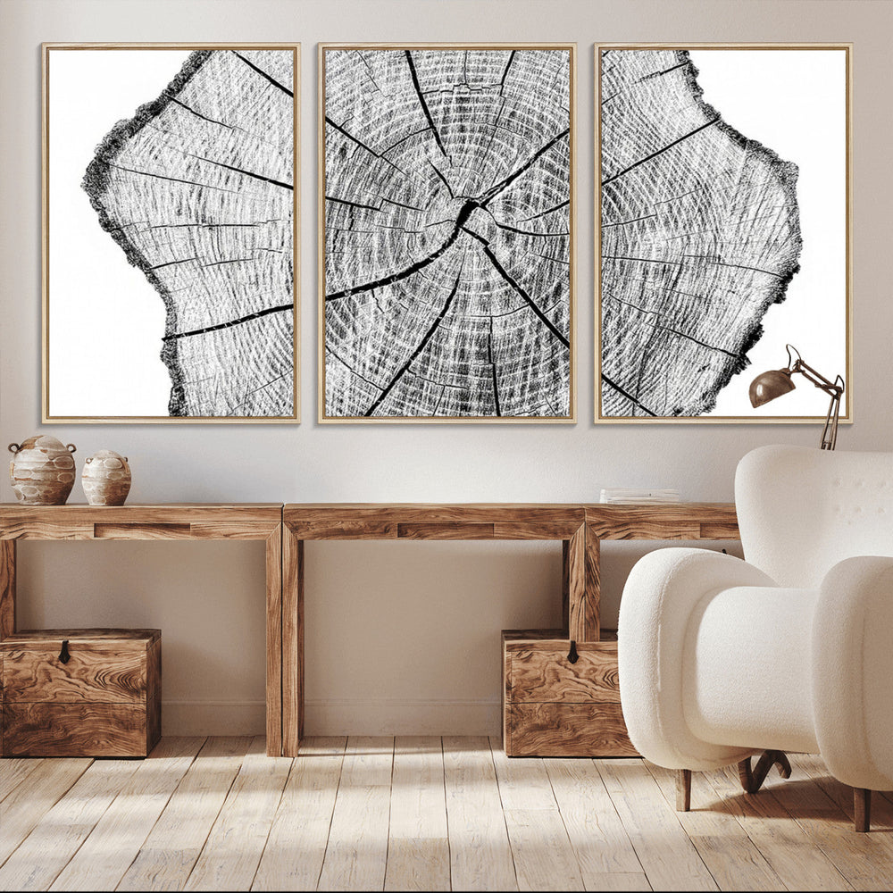 Rustic Tree Ring Wall Art Canvas Print – Framed and Ready to