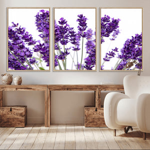 Lavender Flower Wall Art Canvas Print