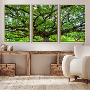 Oak Tree Wall Art Print, Forest Canvas Wall Art for Home and