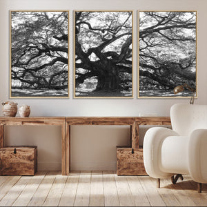 Ancient Oak Wall Art Canvas Print, Majestic Twisted Branches