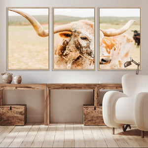 Texas Longhorn Wall Art Canvas Print – Framed Spotted Cow