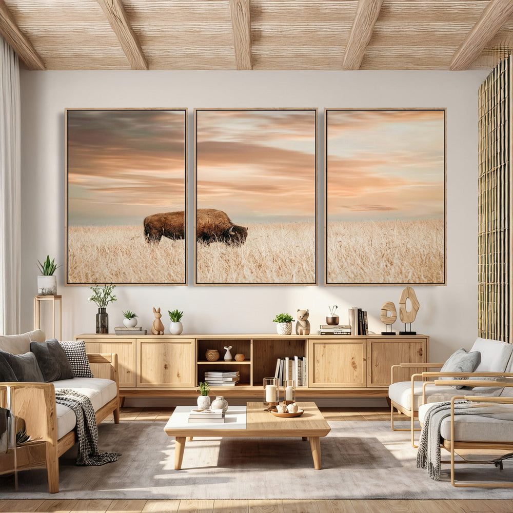 MyCanvas -