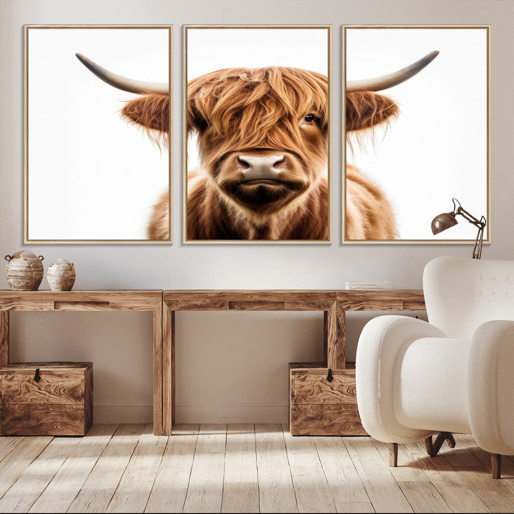 Scottish Highland Cow Canvas Print, Framed Highland Cow