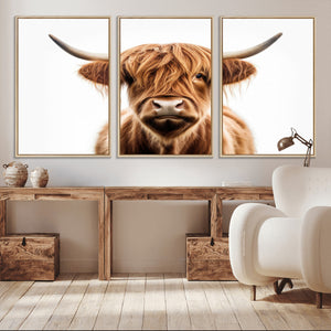 Scottish Highland Cow Canvas Print, Framed Highland Cow