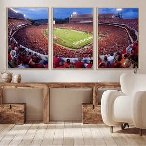 Dooley Stadium Wall Art, Sports Arena Canvas Print, Dooley