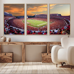 Dooley Stadium Wall Art, Sports Arena Canvas Print, Dooley