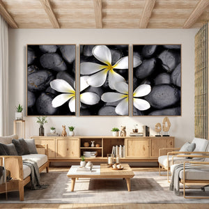 Plumeria Frangipani Black Stone Canvas | White Flower Spa