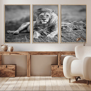 King Forest Lion Wall Art Canvas Print – Framed Majestic