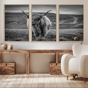 Fluffy Cattle Wall Art Print, Highland Cow Canvas, Framed