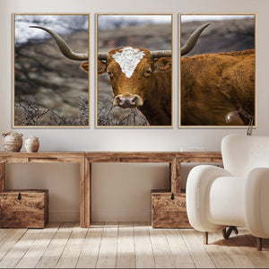 Texas Longhorn Canvas Wall Art - Longhorn Steer Canvas Wall