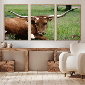 Longhorn Cow Animal Wall Art Canvas Print