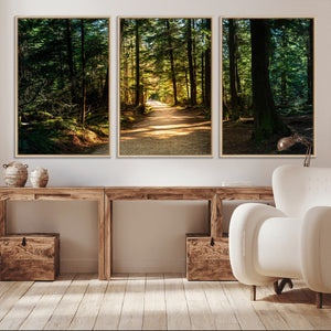 Sunlit Forest Pathway Canvas Print | 3 Panel Large Nature