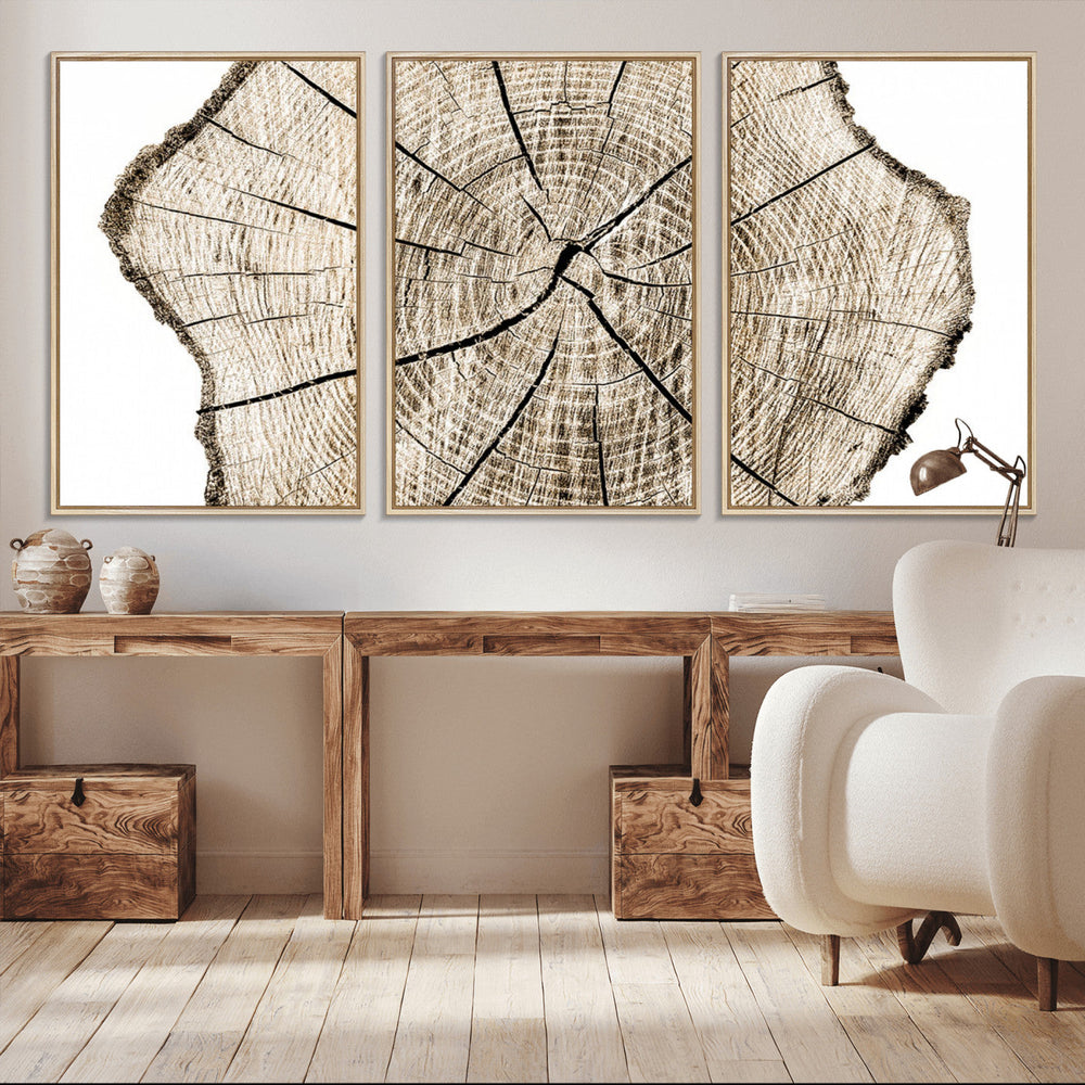 Abstract Wood Tree Ring Wall Art - Ready to Hang Minimalist