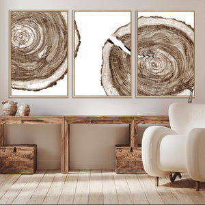 Wood Tree Ring Wall Art Canvas Prints, Tree Rings –