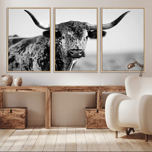 Texas Highland Cow Longhorn Canvas Print - Rustic Farmhouse