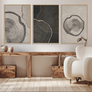 Modern Abstract Tree Ring Canvas Art Set | 3 Panel Large