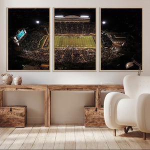 Wake Forest University Demon Deacons Canvas Printi, Football