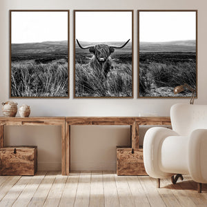 Black and White Highland Cow Canvas Wall Art, Longhorn